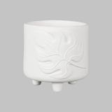 MB1591 Monstera Footed Container